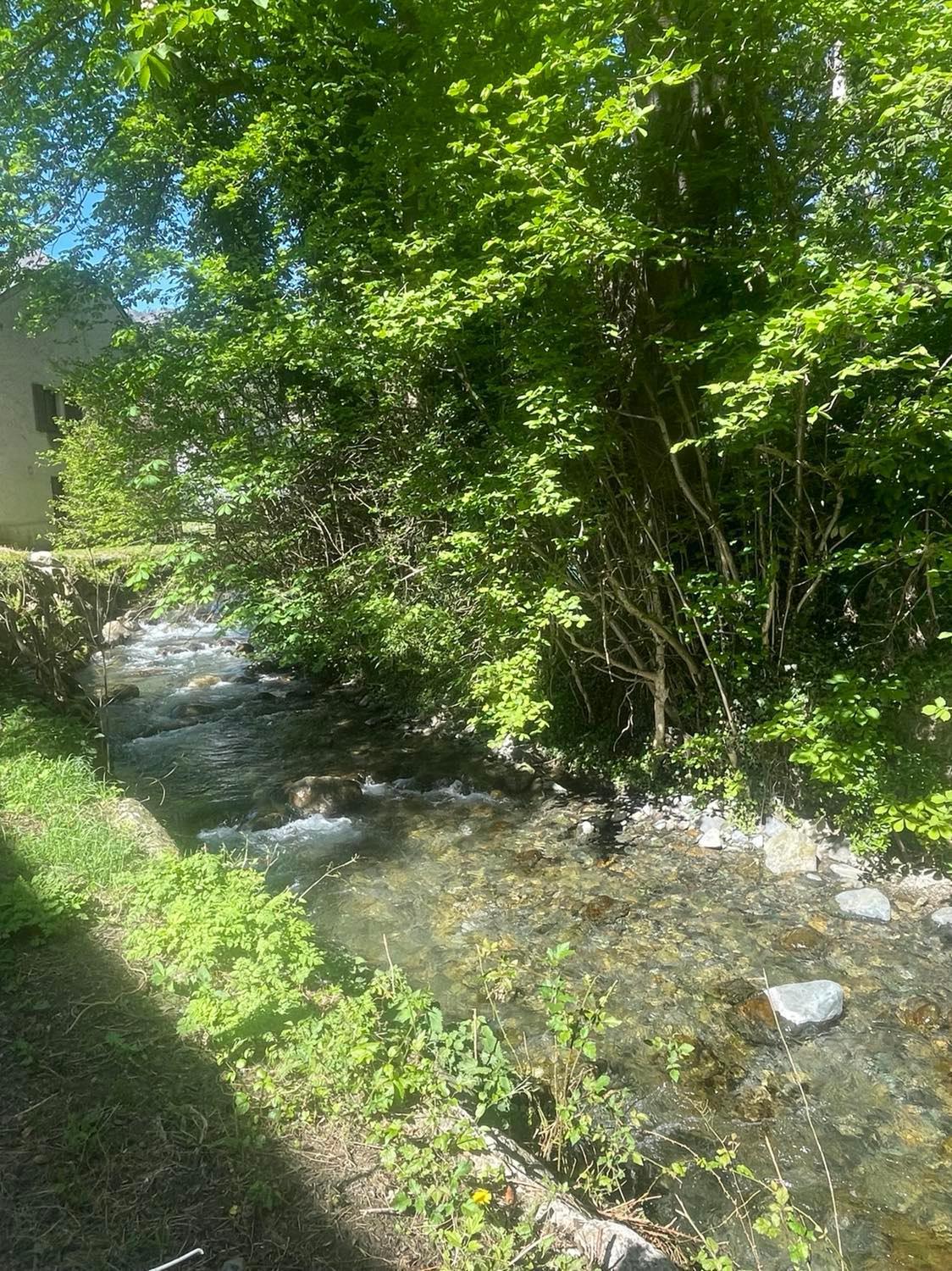 Appartement Avec Piscine En Vallee D'Ossau Bielle Eksteriør bilde